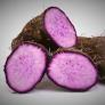 Khoai ngọt, khoai mỡ