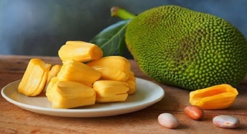 Mít vỉ đông lạnh